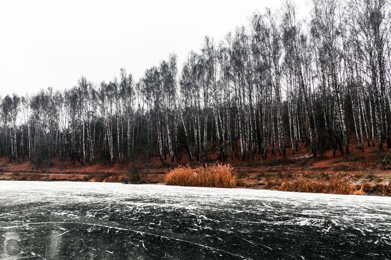 лед, береза, снег, озеро, вода, зима, трава, дерево, небо, пейзаж Зимний колизей... фото превью