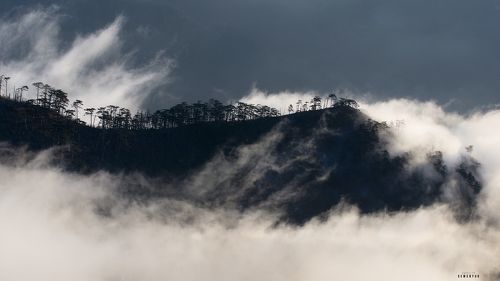 Дракон погружается.