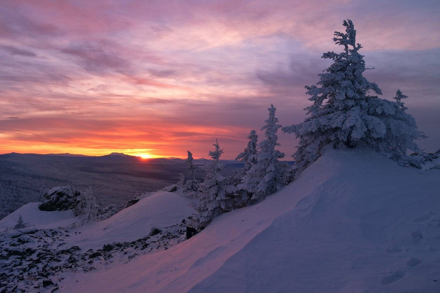 , Андрей Шарапов