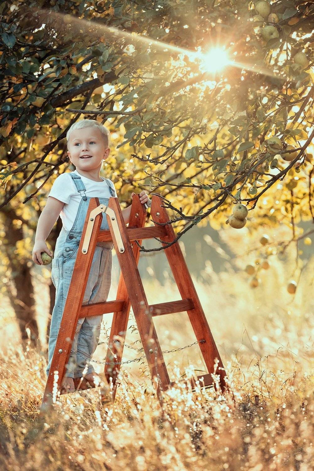 boy, apple, garden, sun, summer, autumn, happy, Tetyana Vysochanska