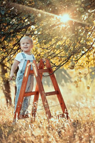 boy in a apple garden