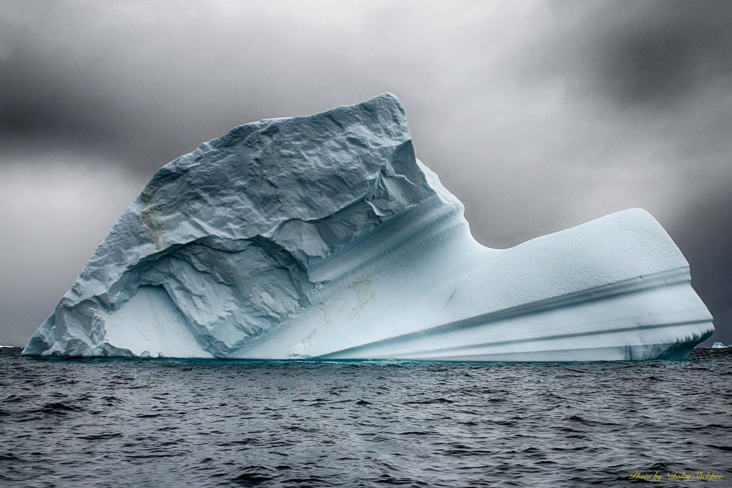 , Николай Шелепов