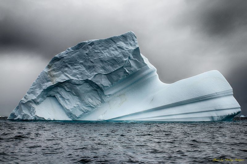 Антарктида 38 фото превью