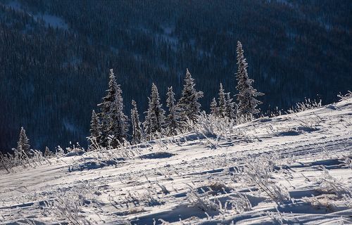 Pro «ёлочки» Шерегеша