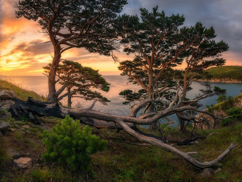 приморский край море солнце рассвет владивосток заповедник скалы  фото превью