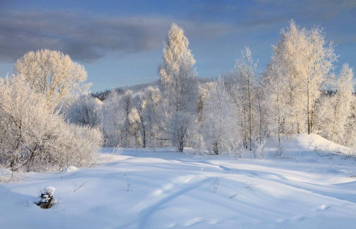 , Галина Хвостенко