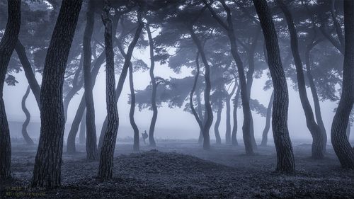 before the dawn