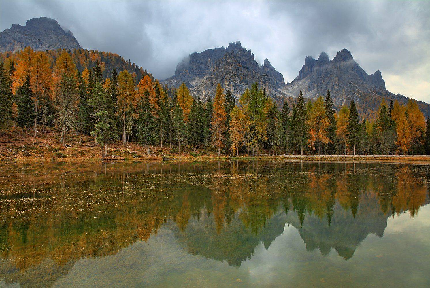 , Игорь Дубровский