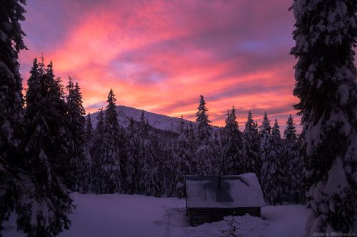 Ранний выход