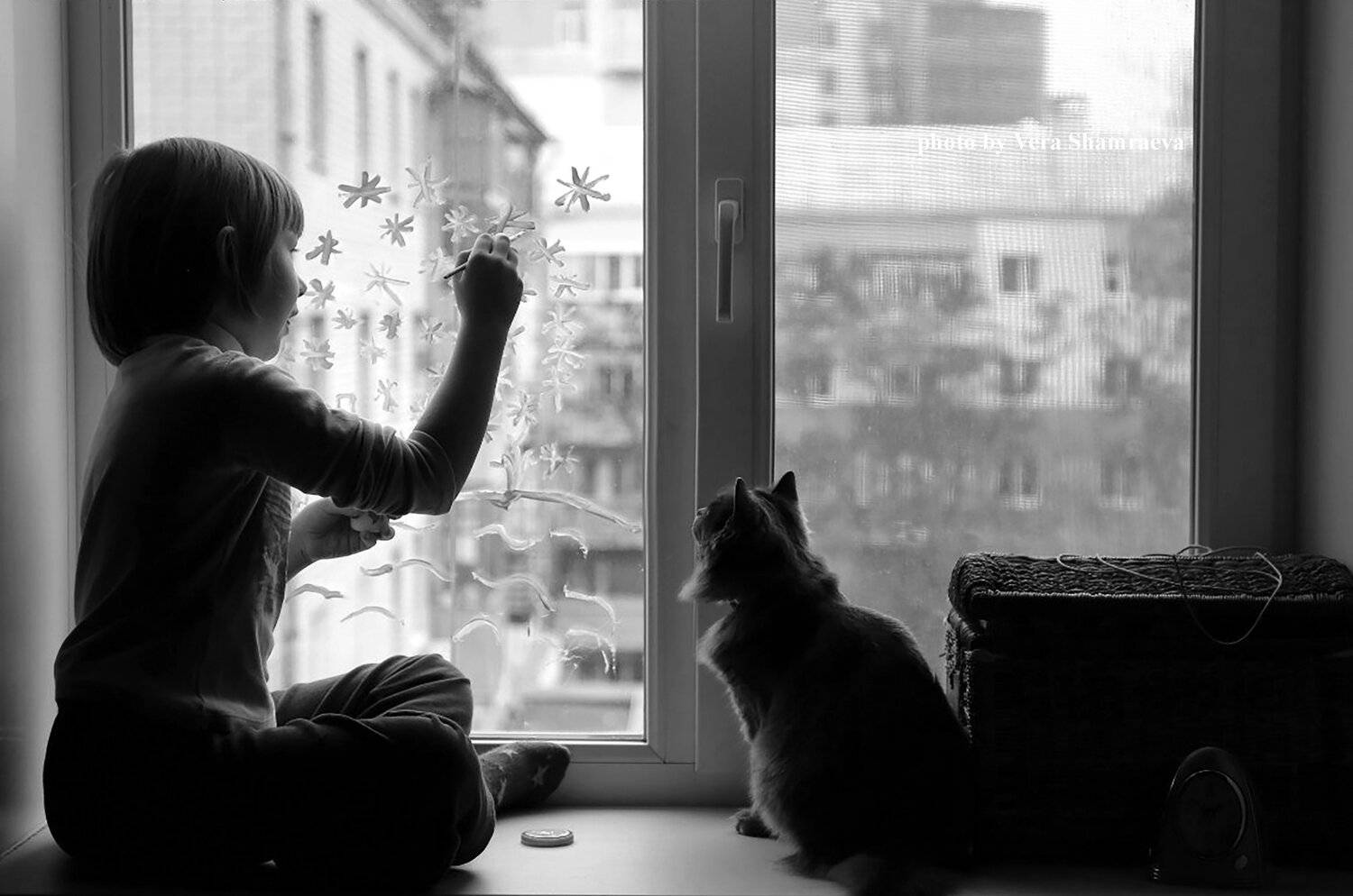 жанр, черно белое, дети, кошка, Вера Шамраева