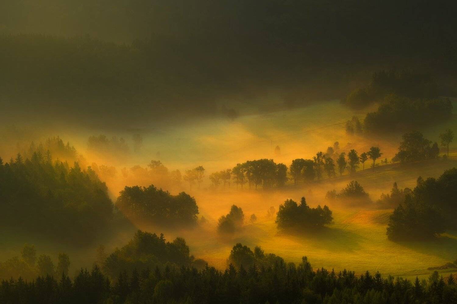 landscape,canon,mist,light,spring, Iza i Darek Mitręga