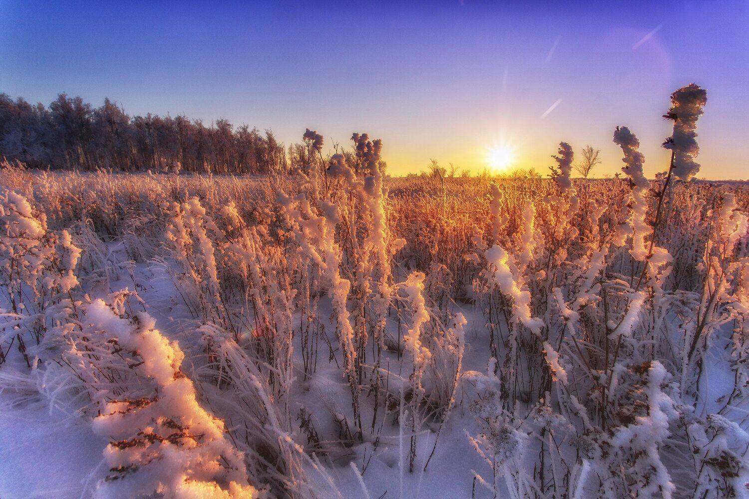 , Павел Сагайдак