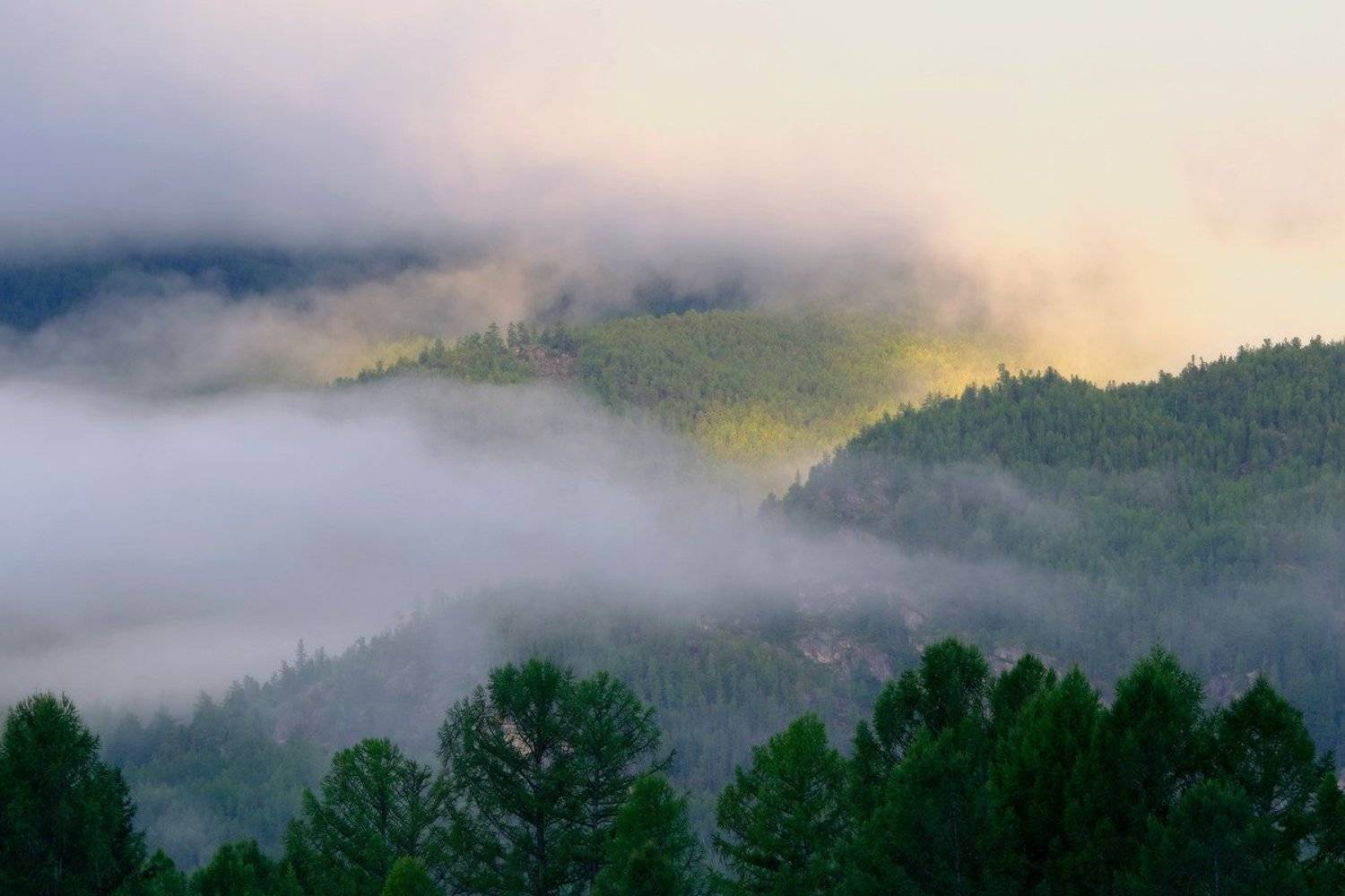 , Ольга Челдыкова