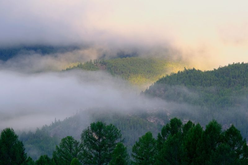 Волшебный туман фото превью