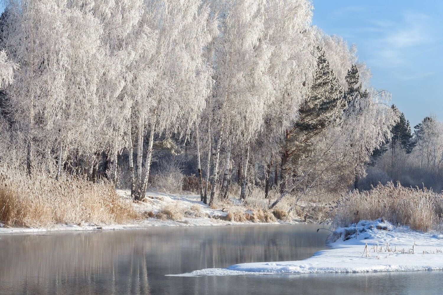 , Олег Богданов