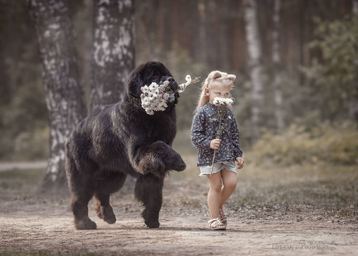 , Андрей Селиверстов