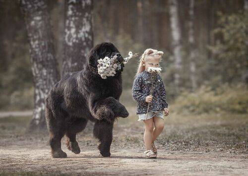 bouquet of flowers