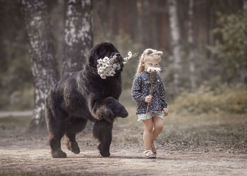 bouquet of flowers фото превью