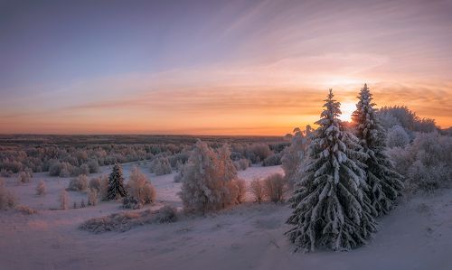 тепло зимы