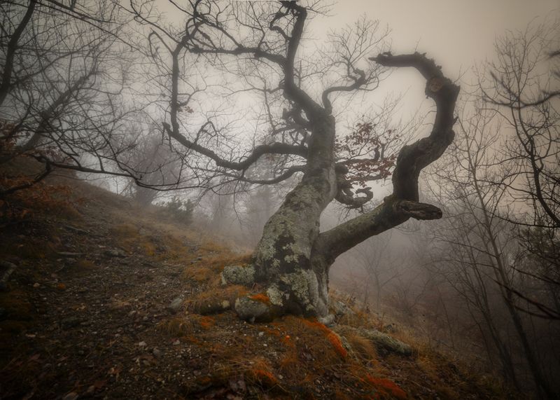Призраки Демерджи фото превью