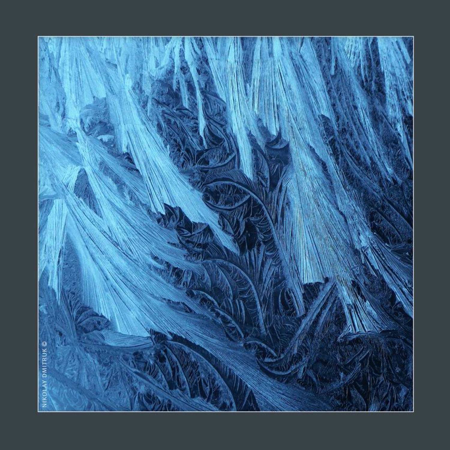 макро, мороз, николай дмитрук