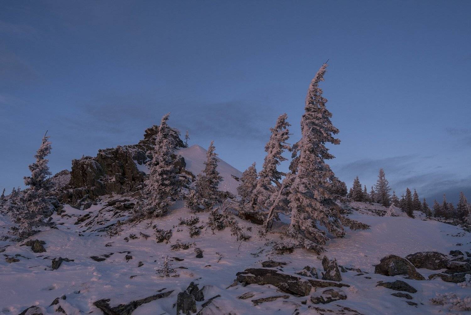 , Андрей Шарапов