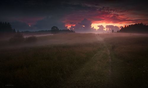 После вечернего ливня.