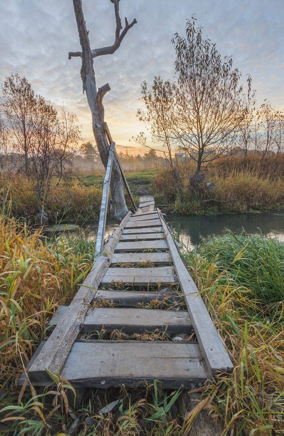 , Николай Андреев