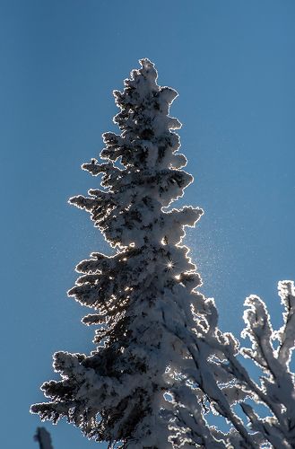 Pro звёздочки: *, **, ***, *****)