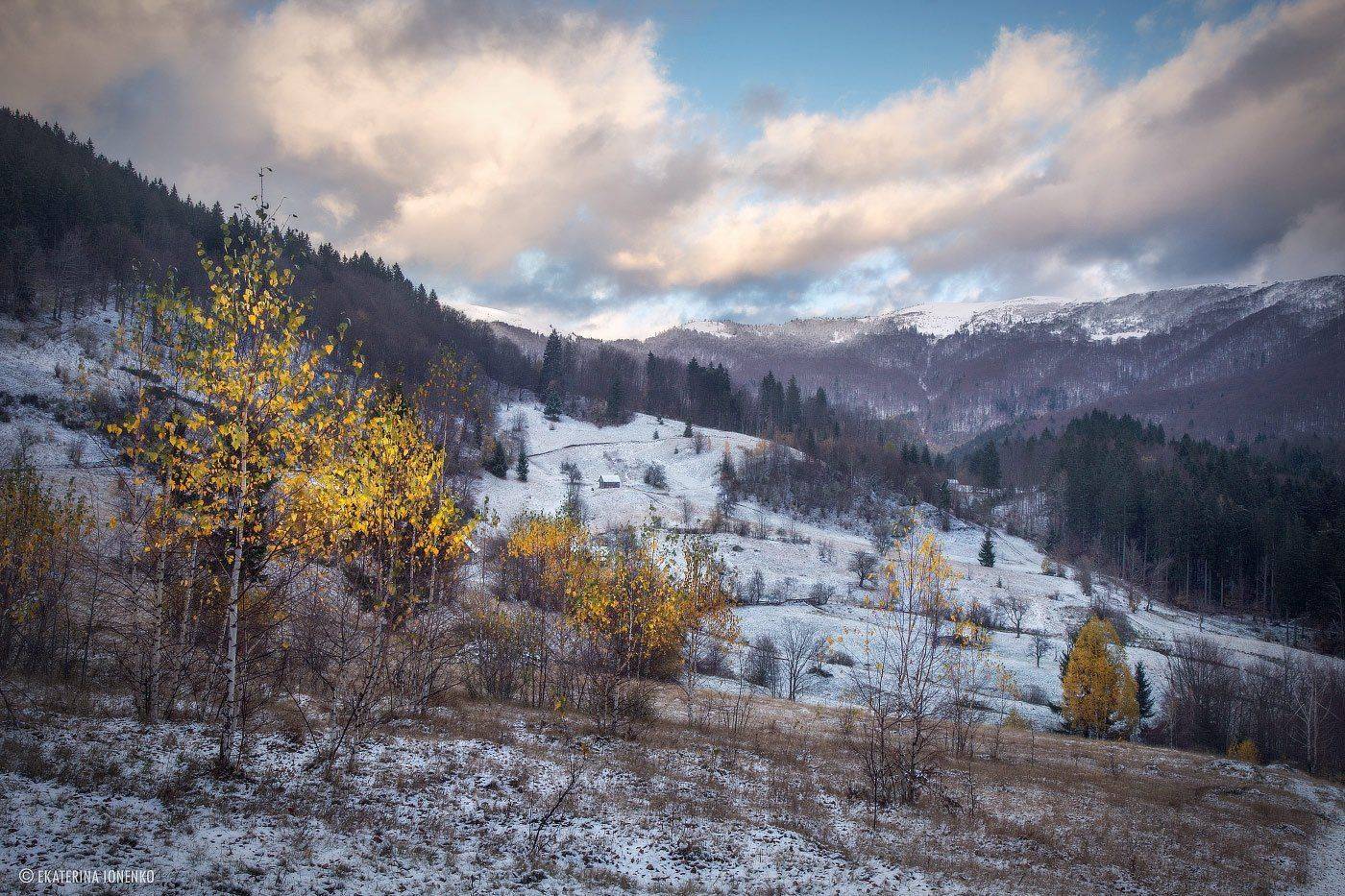 , Екатерина Ионенко