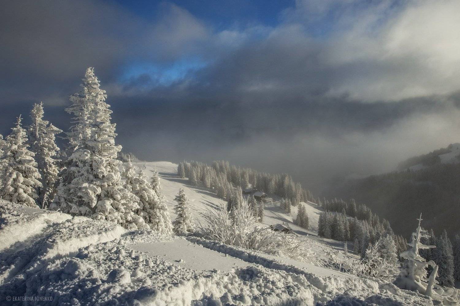 , Екатерина Ионенко