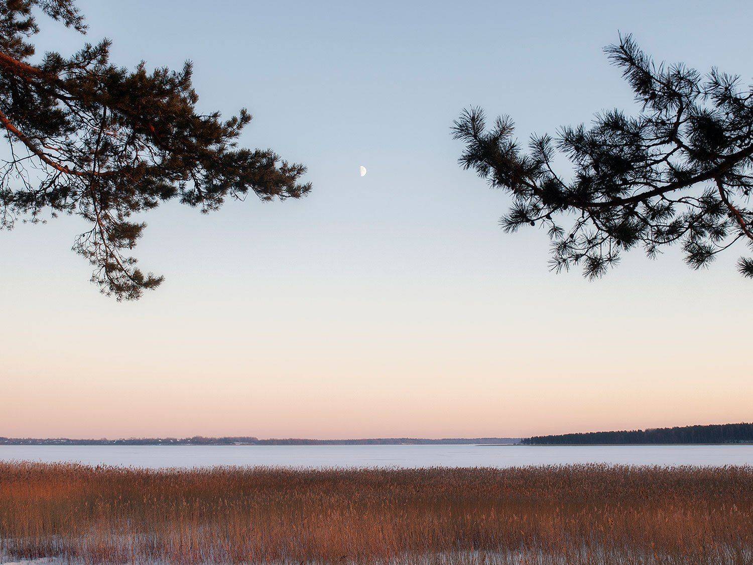 , Федотов Антон