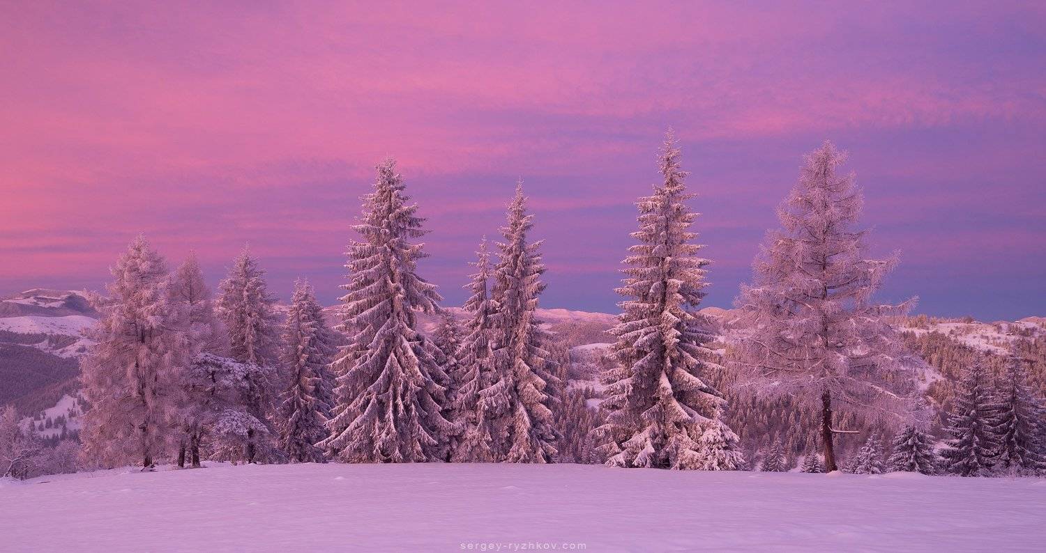 карпаты, горы, украина, пейзаж, зима, лес, снег, winter, mountains, carpathians, ukraine, nature, snow, landscape,, Сергей Рыжков