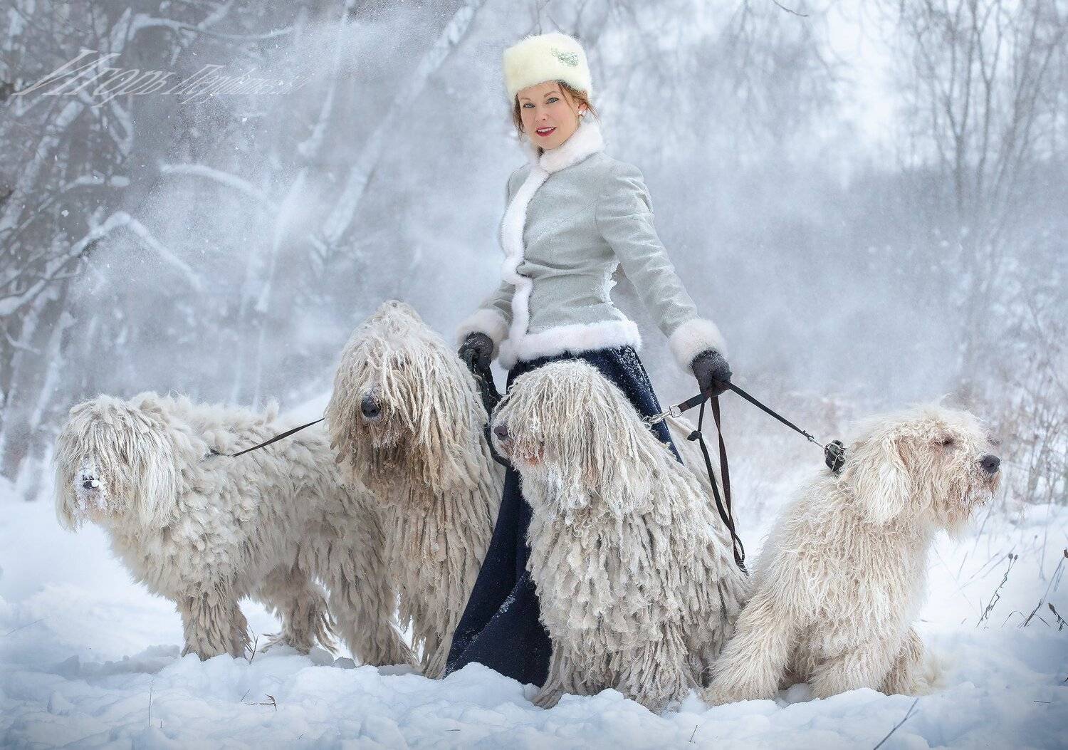 , игорь перфильев