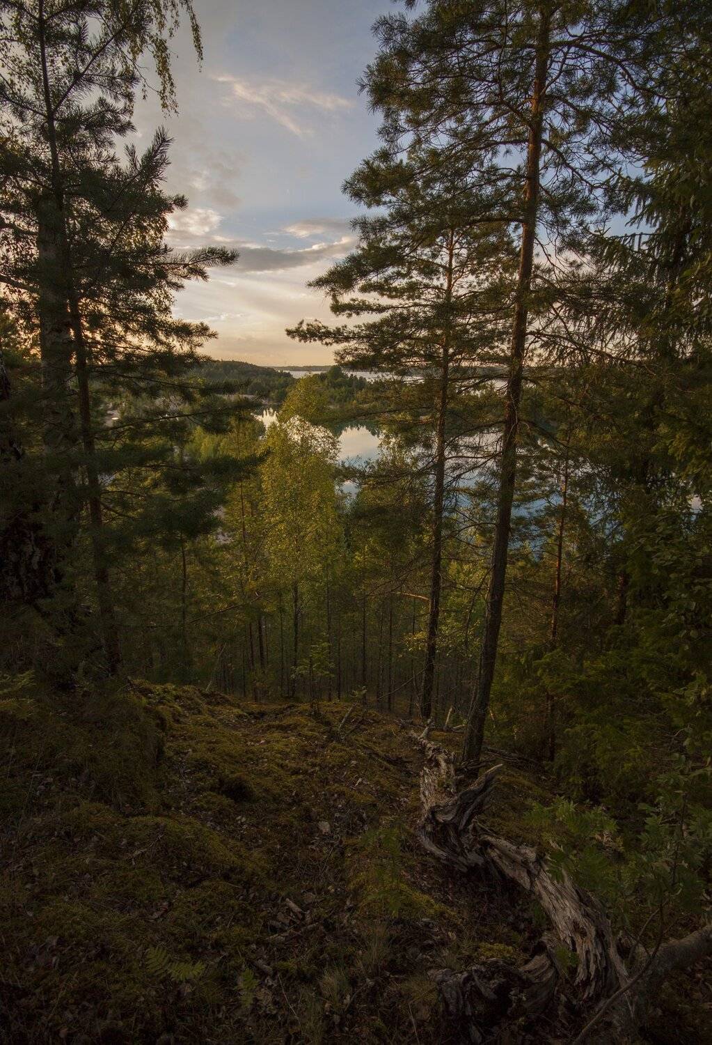 швеция, Lapland