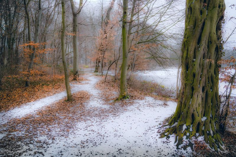 Первый снег фото превью