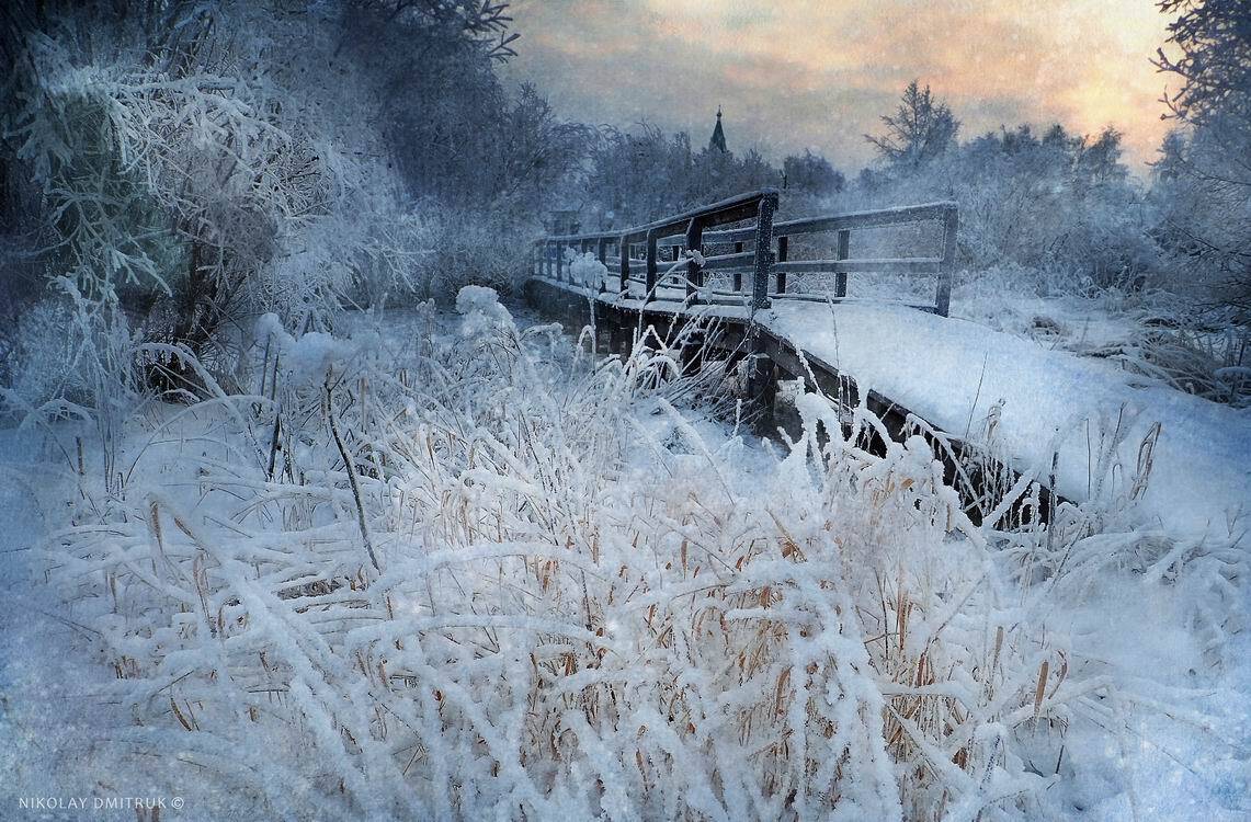 пейзаж, николай дмитрук