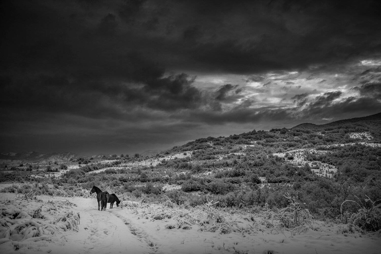 , Тодор Божков