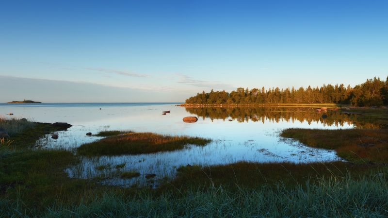 #dervod #drevo #Соловки Новая Сосновка, Соловецкий остров. Рассвет. фото превью