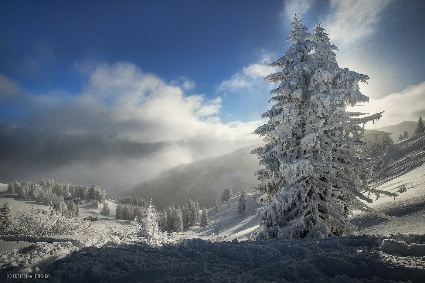 \, Екатерина Ионенко