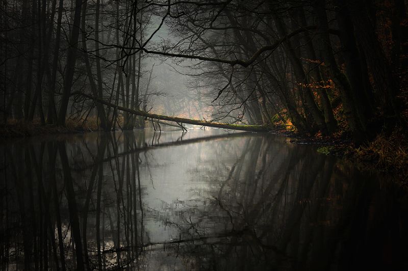 ... фото превью