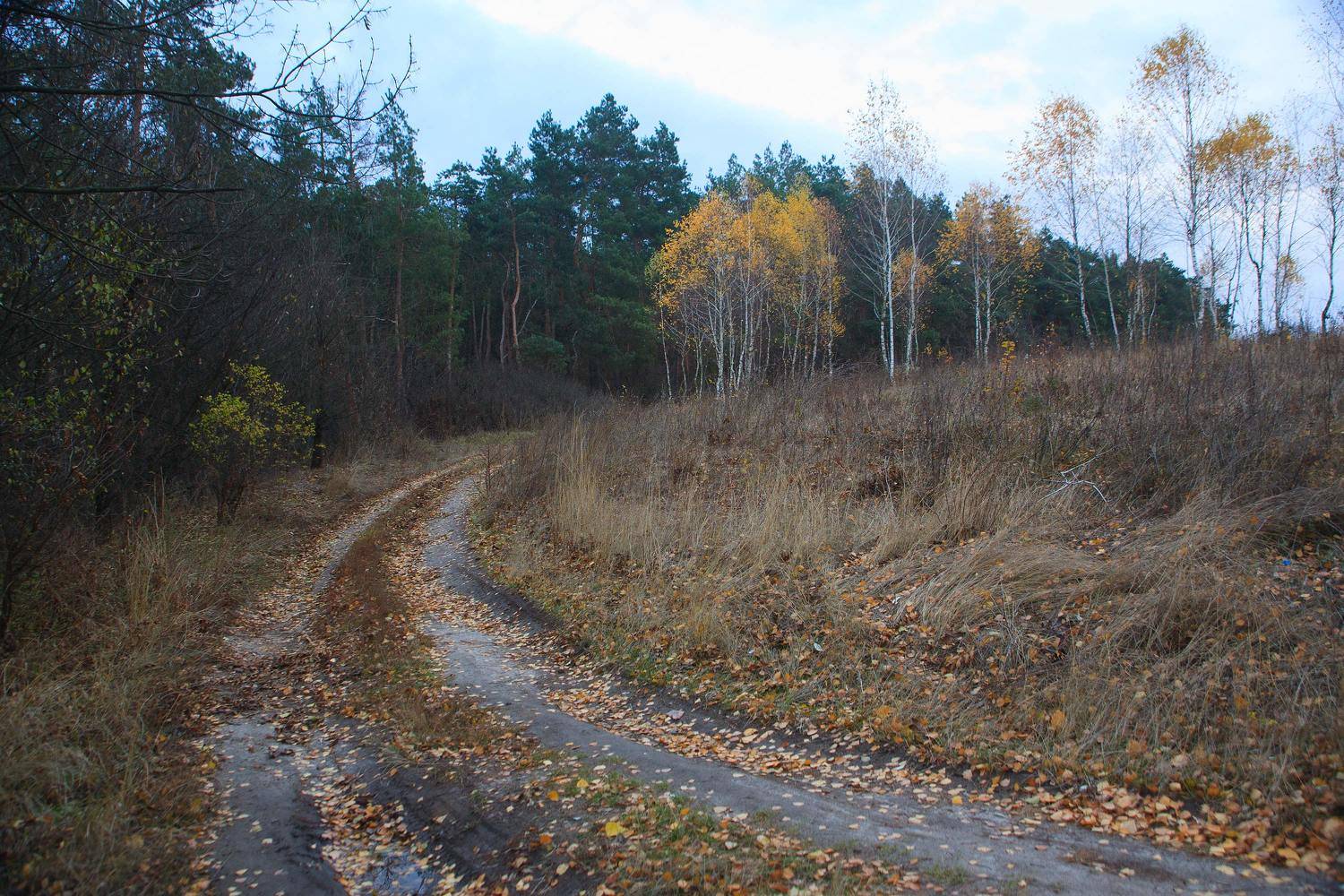 , Володимир Коцюбенко