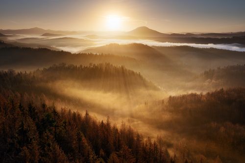 Golden December