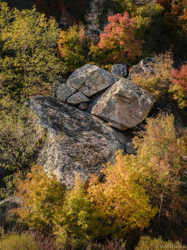 осень, закат, деревья, камни, желтый, контраст, вертикальный, природа, скалы, листва Камни среди деревьев. Осень в Актовском каньоне. фото превью