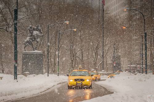 Yellow Cabs in Central Park