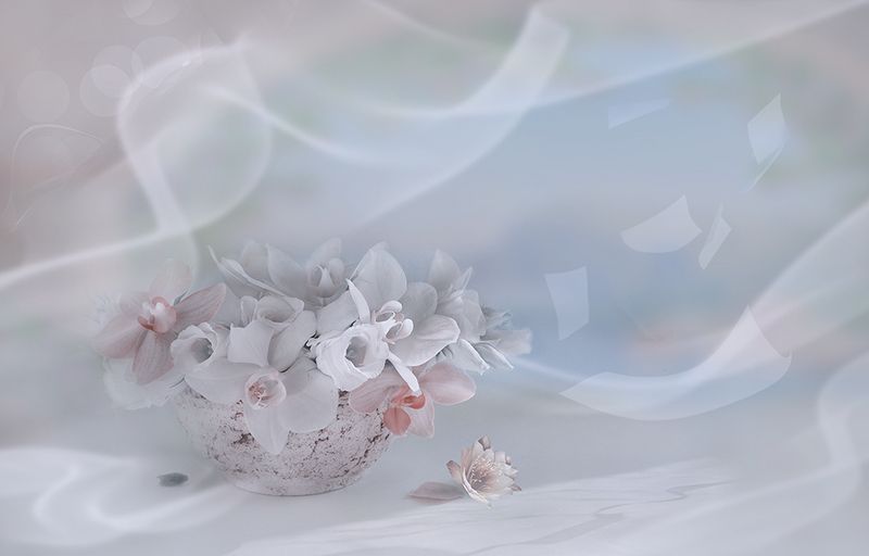 букет композиция розы орхидеи радость улыбка вдохновение Вдохновения! фото превью