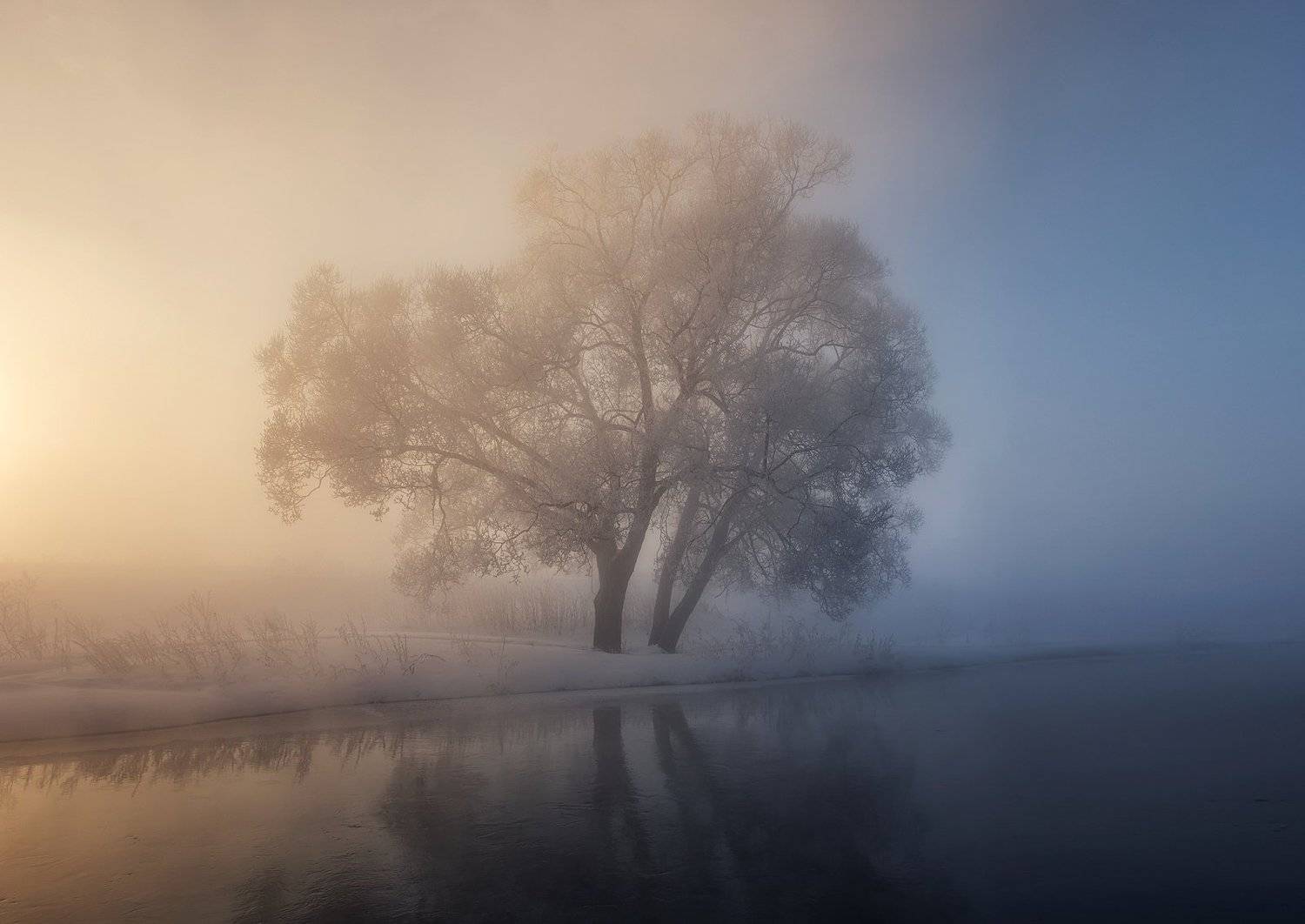 , Сергей Давыдов