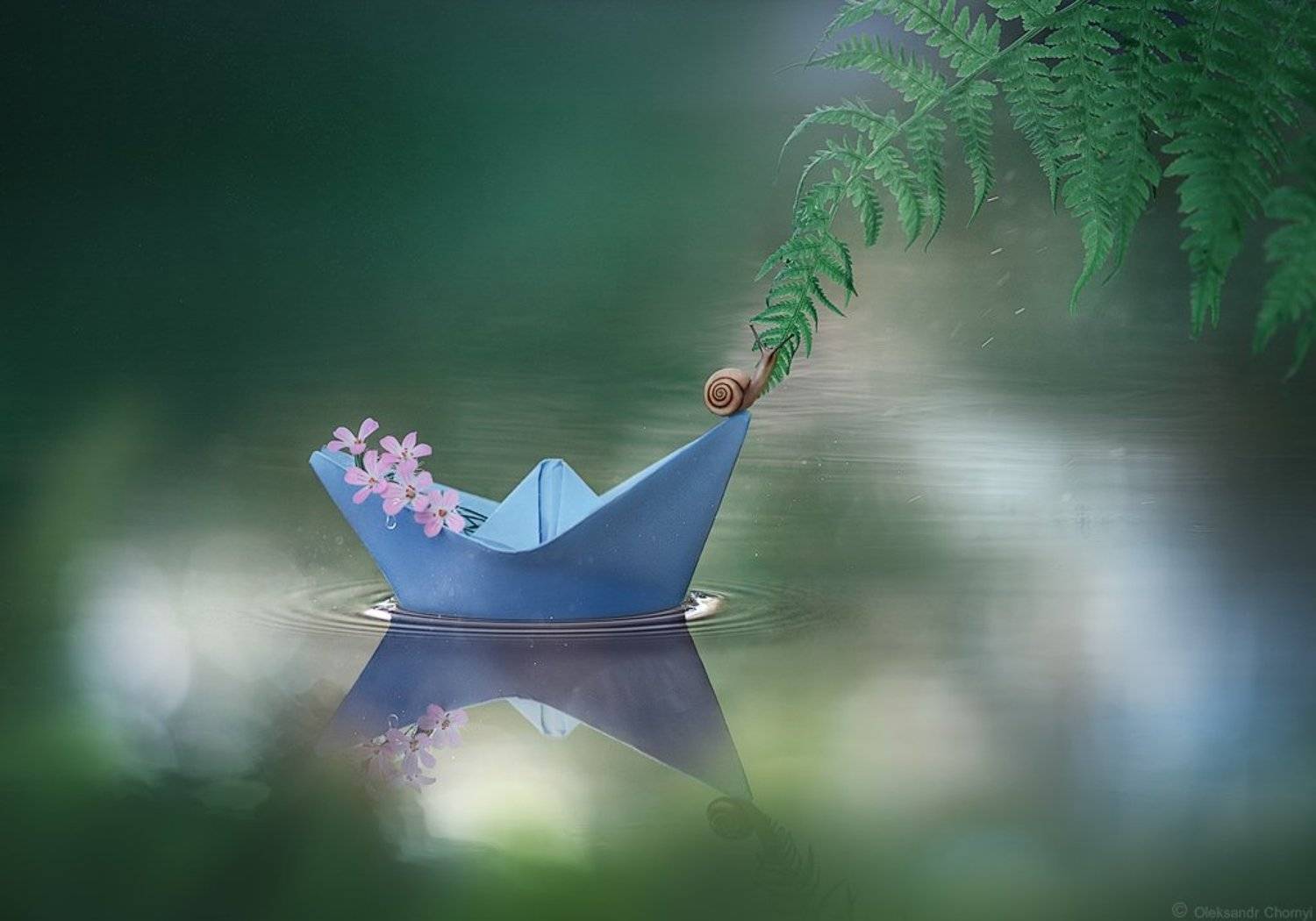 украина, коростышев, природа, макро, макро красота, макро мир, волшебство, кораблик, улитка, нежность, тишина, гармония, жизнь, свобода, надежда, любовь, путь, путешествие,  мир,, Александр Чорный