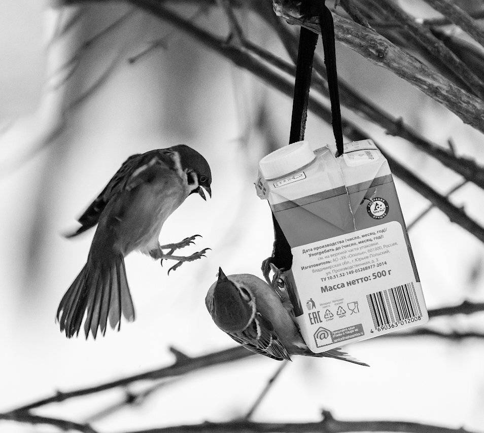 , Константин Дэм