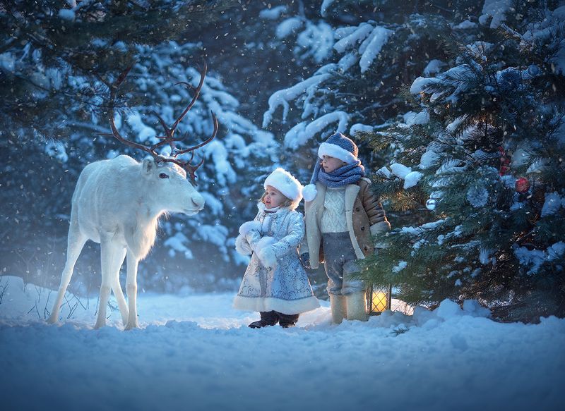 фото превью